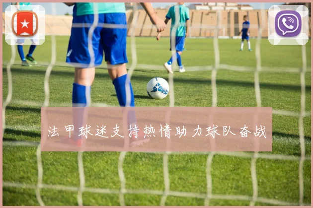 法甲球迷支持热情助力球队奋战