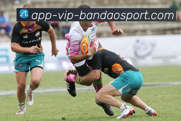 半岛体育品牌故事