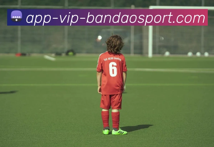 半岛体育服务体系